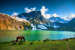 Kashmir Great Lakes trek - Shepherd Traveller